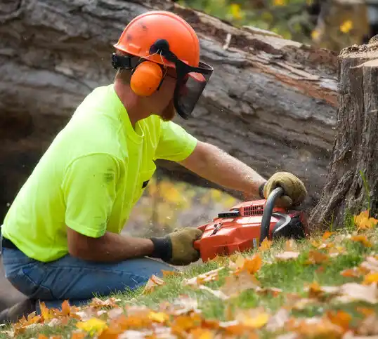 tree services Leeton